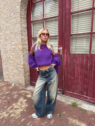 Bieb Mohair Knitwear Purple